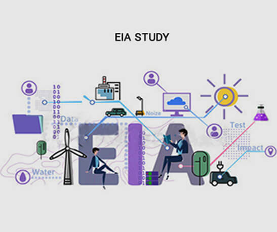 Environmental Impact Assessment (EIA)